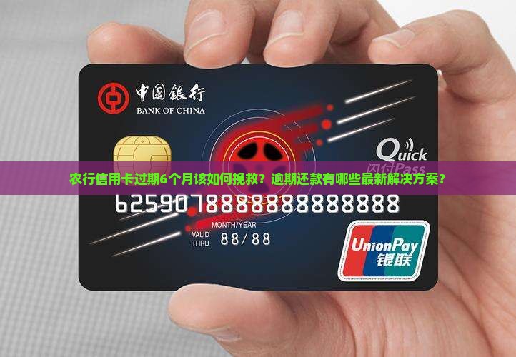 农行信用卡过期6个月该如何挽救？逾期还款有哪些最新解决方案？