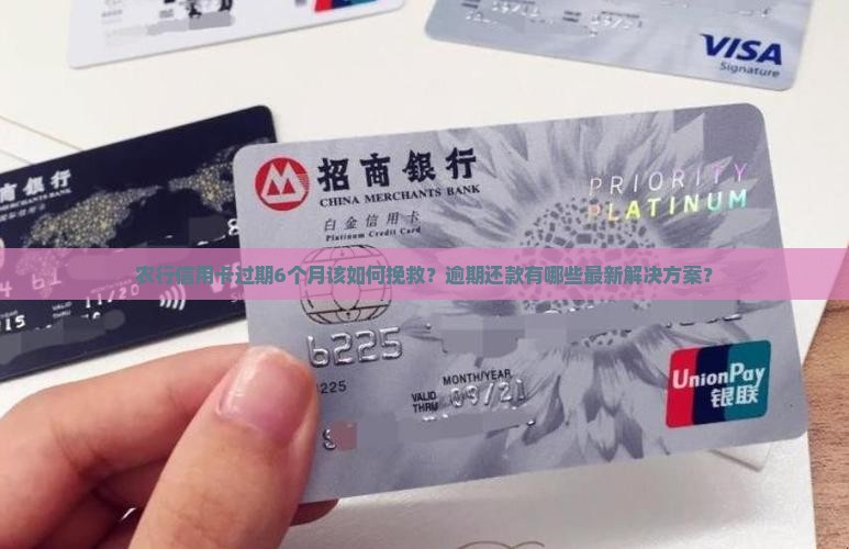农行信用卡过期6个月该如何挽救？逾期还款有哪些最新解决方案？