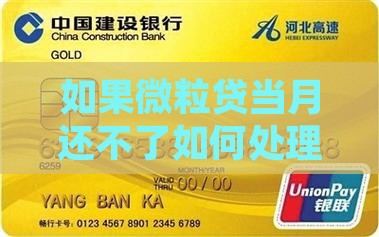 如果微粒贷当月还不了如何处理还款问题？