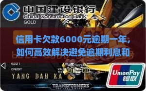 信用卡欠款6000元逾期一年，如何高效解决避免逾期利息和信用受损？