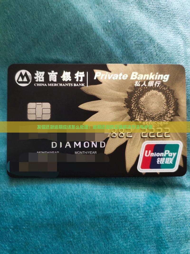 友信还款逾期应该怎么处理：逾期还款的正确解决方法与步骤