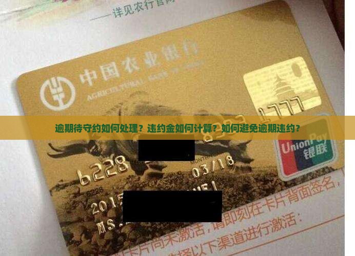 逾期待守约如何处理？违约金如何计算？如何避免逾期违约？