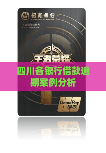 四川各银行借款逾期案例分析
