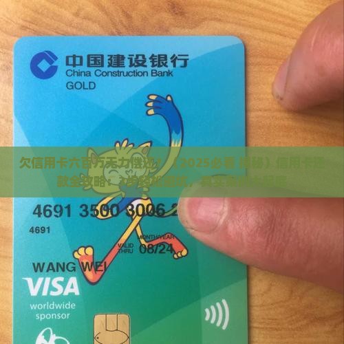 欠信用卡六百万无力偿还