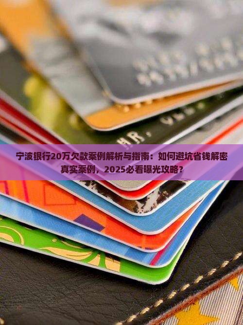 宁波银行20万欠款案例 宁波银行20万欠款案例