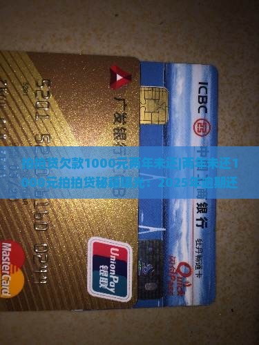拍拍贷欠款1000元两年未还