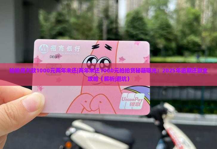 拍拍贷欠款1000元两年未还