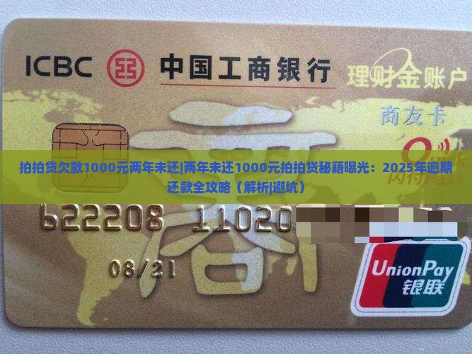 拍拍贷欠款1000元两年未还