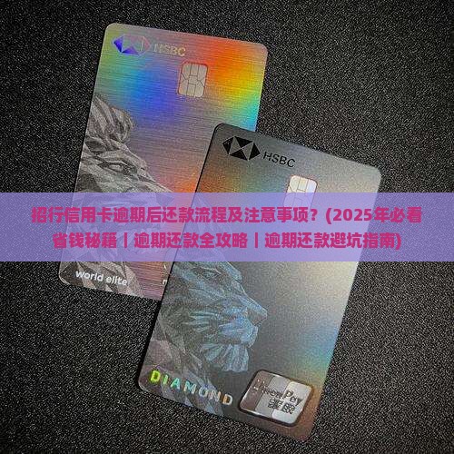 招行信用卡逾期后还款流程及注意事项