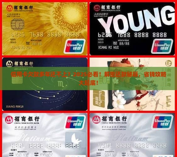 信用卡欠了多年还不上怎么办
