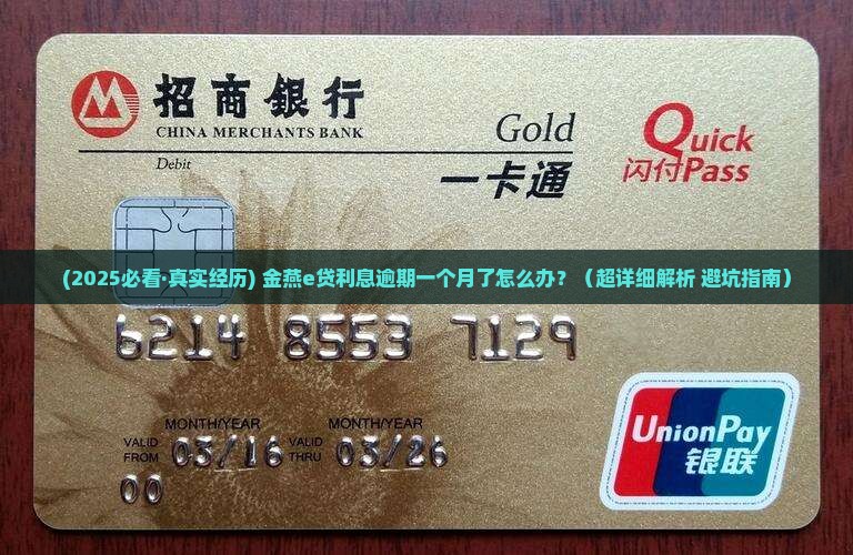 金燕e贷利息逾期一个月怎么办处理