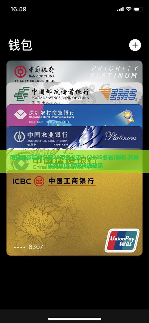 网贷加微粒贷欠款20万如何处理