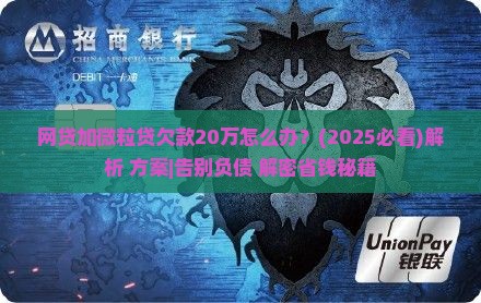 网贷加微粒贷欠款20万如何处理