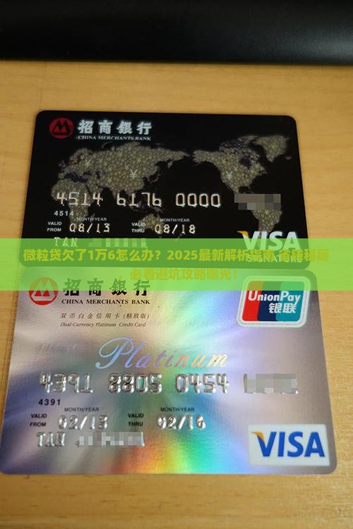微粒贷欠了1万6怎么办