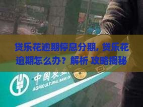 贷乐花逾期停息分期