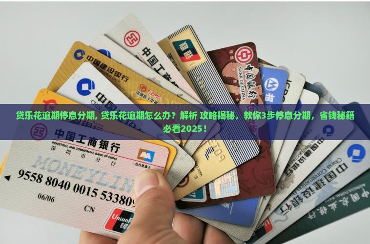 贷乐花逾期停息分期