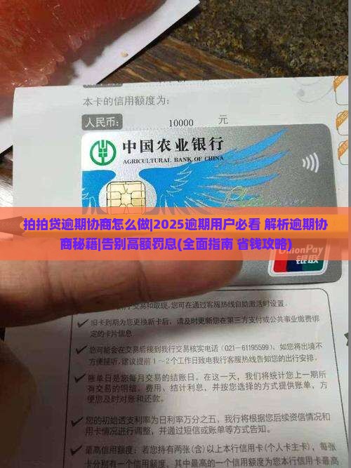 拍拍贷逾期协商怎么做