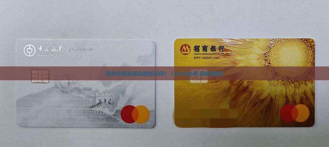 京东白条会向法院起诉