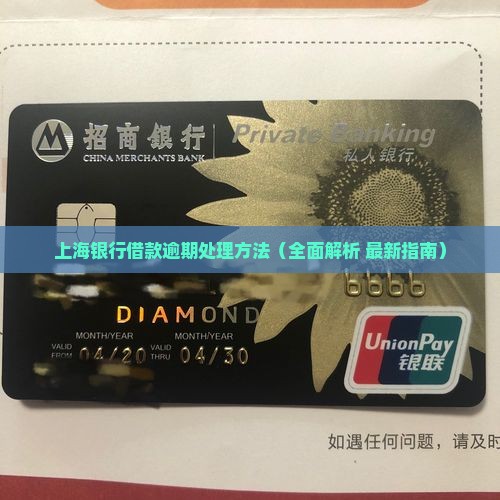 上海银行借款逾期处理方法