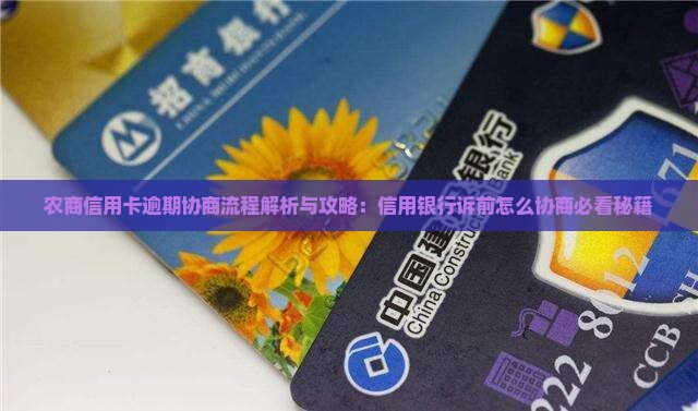 农商行信用卡诉前协商流程详解