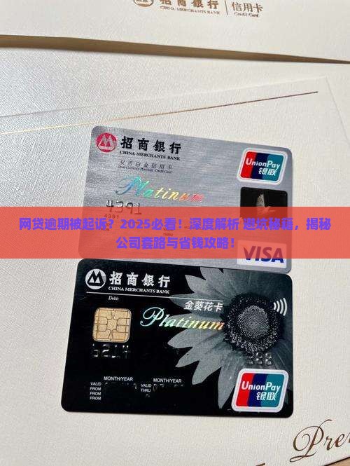 网贷逾期起诉公司应该注意哪些问题