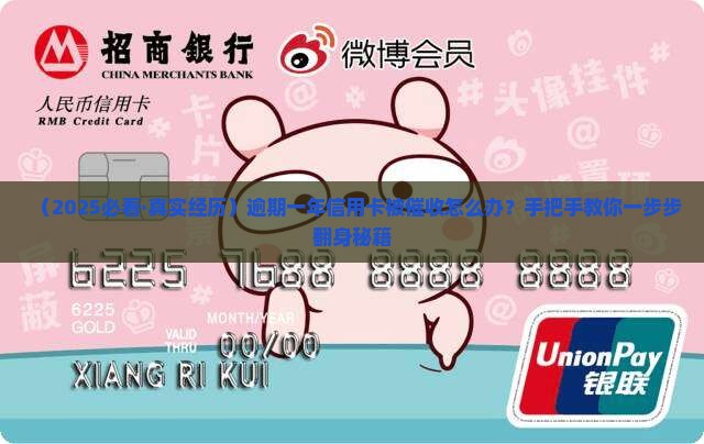 兴业银行逾期一年信用卡如何催收和还款处理