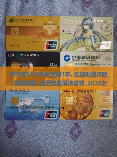 支付宝3万8本金逾期1年