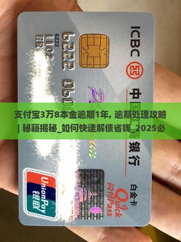 支付宝3万8本金逾期1年