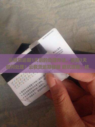 云税贷逾期1天后的处理方法