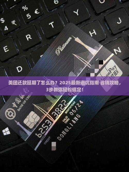 美团还款延期怎么办