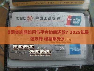 网贷平台协商还款如何进行