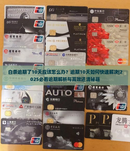 白条逾期了10天应该怎么办