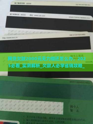 网贷欠款2000元无力偿还怎么办
