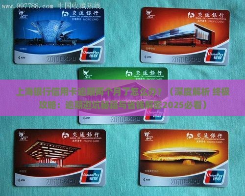 上海银行信用卡逾期两个月了怎么办