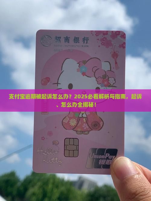 欠支付宝钱支付宝起诉怎么办