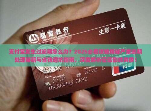 支付宝发生过逾期怎么办