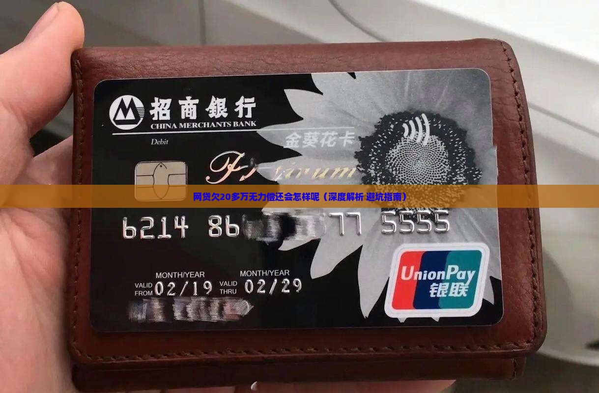 网贷欠20多万无力偿还会怎样呢