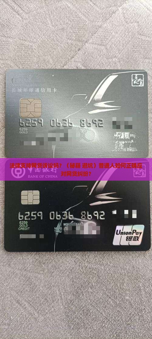 法律支持网贷诉讼吗