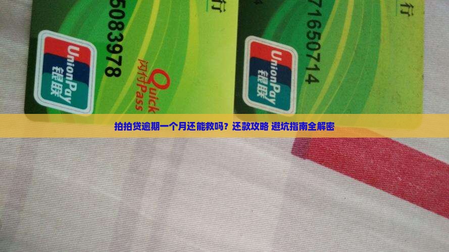 拍拍贷逾期了一个月怎么办还款方法