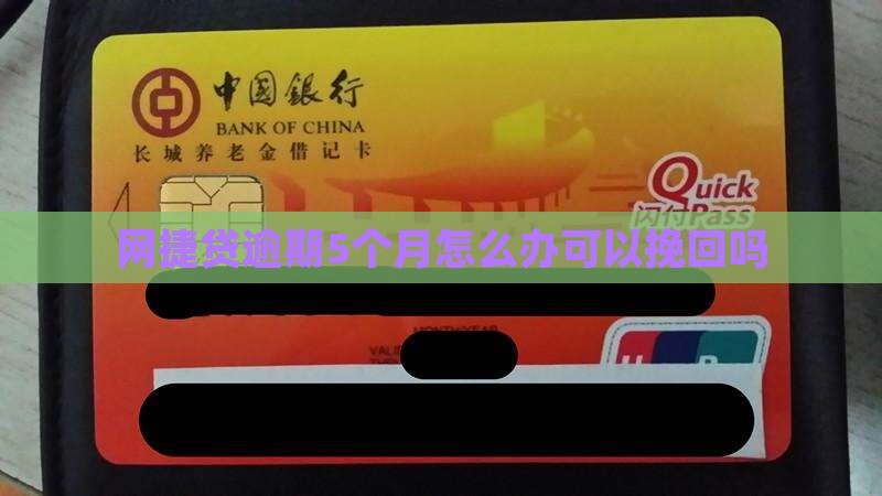 网捷贷逾期5个月怎么办可以挽回吗