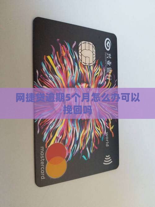 网捷贷逾期5个月怎么办可以挽回吗