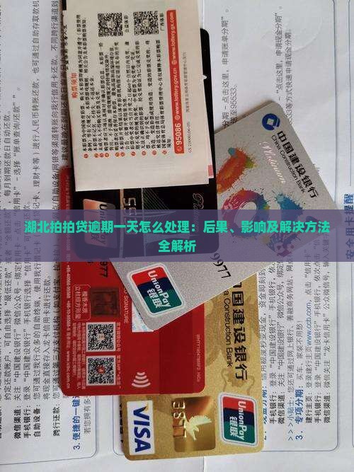 湖北拍拍贷逾期一天怎么处理