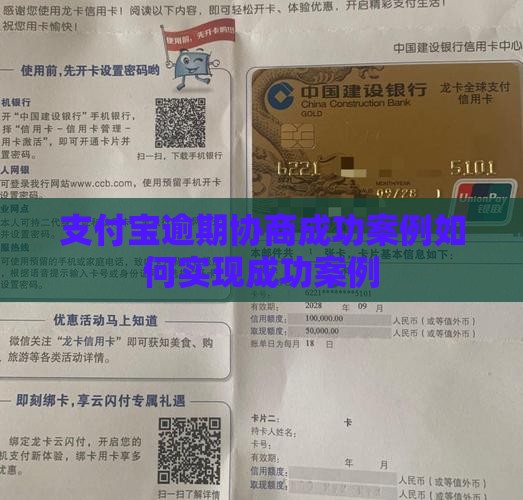 支付宝逾期协商成功案例如何实现