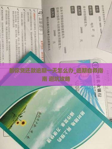 邮你贷还款逾期一天怎么办