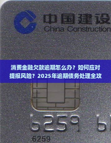 消费经融你的欠款已逾期现提报