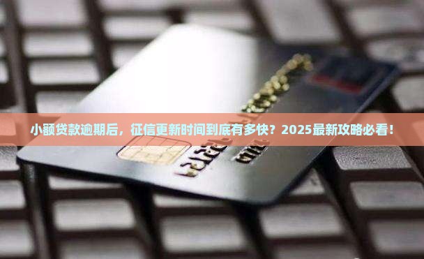 小额贷款逾期征信更新时间是什么时候