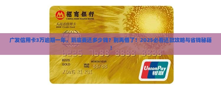 广发信用卡3万多逾期一年未还款