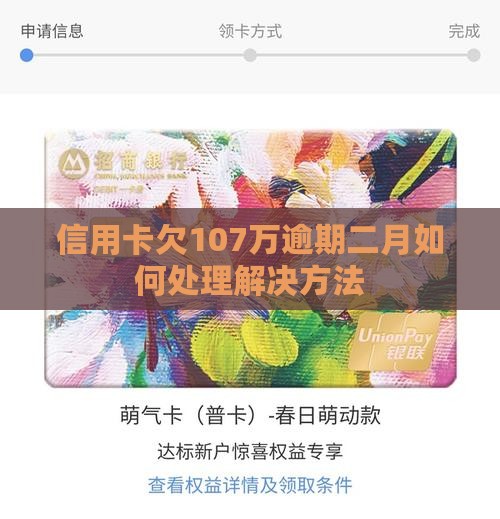 信用卡欠107万逾期二月如何处理解决方法