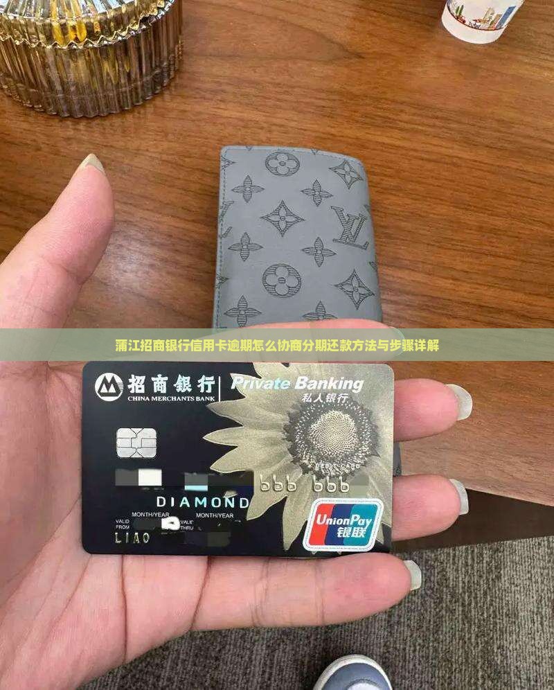 蒲江招商银行信用卡逾期怎么协商分期还款方法与步骤详解