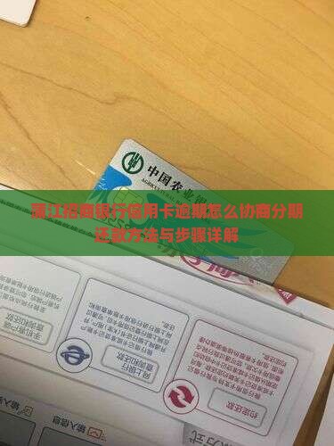 蒲江招商银行信用卡逾期怎么协商分期还款方法与步骤详解